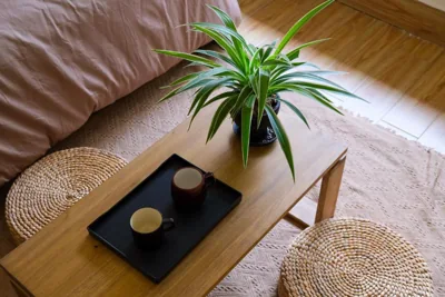 Kén Stay - Sun drenched Living & Local Foodie Hub – 사진 5